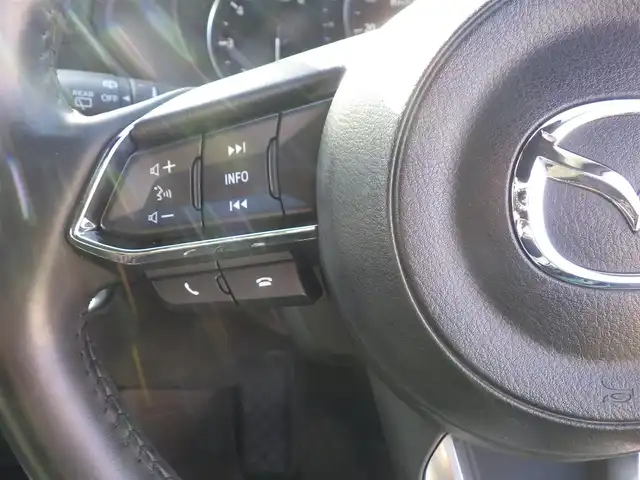マツダ ＣＸ－８ XD プロアクティブ Sパッケージ 千葉県 2020(令2)年 3.3万km ソウルレッドクリスタルM 225/55R19/マツダコネクト8インチナビ/・AM/FM/CD/DVD/フルセグTV/・Bluetooth/AppleCarPlay/AndroidAuto/360度ビューモニター/ブラック本革シート/・前席パワーシート/シートヒーター/シートベンチレーション/・2列目左右シートヒーター/ステアリングヒーター/アドバンスドスマートシティブレーキサポート/スマートブレーキサポート/レーンキープアシストシステム/レーダークルーズコントロール/ブラインドスポットモニタリング/アダプティブLEDヘッドランプ/前後ドライブレコーダー/ルーフレール