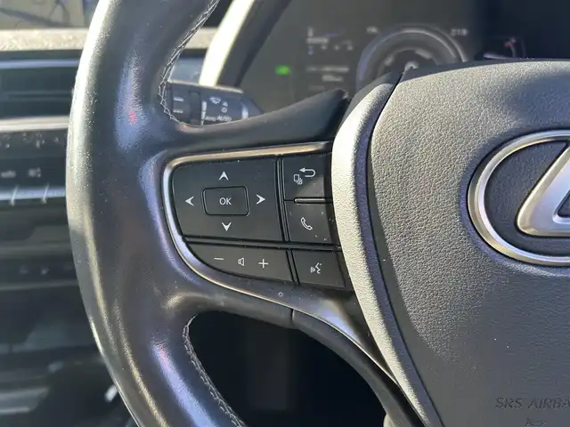 レクサス ＵＸ 250h バージョンC 福岡県 2019(平31)年 5.4万km ソニッククォーツ Ｌｅｘｕｓｓａｆｅｔｙｓｙｓｔｅｍ＋　/レーダークルーズコントロール/ブラインドスポットモニター/レーンキープアシスト/黒革シート/前席シートヒーター/ハンドルヒーター/純正ナビ　/全方位カメラ/フルセグTV/Bluetooth/LEDヘッドライト/オートハイビーム　/ドライブレコーダー　/純正１７インチアルミホイール/ETC/取扱説明書/保証書/スペアキー/カードキー