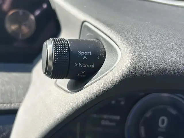 レクサス ＵＸ 250h バージョンC 福岡県 2019(平31)年 5.4万km ソニッククォーツ Ｌｅｘｕｓｓａｆｅｔｙｓｙｓｔｅｍ＋　/レーダークルーズコントロール/ブラインドスポットモニター/レーンキープアシスト/黒革シート/前席シートヒーター/ハンドルヒーター/純正ナビ　/全方位カメラ/フルセグTV/Bluetooth/LEDヘッドライト/オートハイビーム　/ドライブレコーダー　/純正１７インチアルミホイール/ETC/取扱説明書/保証書/スペアキー/カードキー