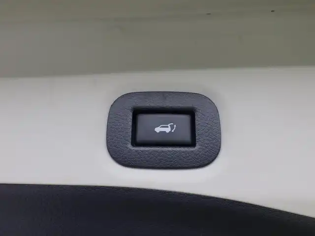 日産 エクストレイル 20Xi 千葉県 2019(平31)年 5.8万km ダイヤモンドブラック エマージェンシーブレーキ/プロパイロット/インテリジェントクルーズコントロール/パワーバックドア/カブロンシート/純正SDナビ/地デジTV/【BD/DVD/CD再生機能　Bluetooth接続】/アラウンドビューモニター/革巻きステアリング/ETC/LEDヘッドライト/フォグライト/ウインカーミラー/コーナーセンサー/純正18インチアルミホイル/インテリジェントキー