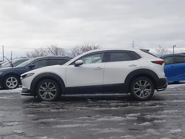 マツダ ＣＸ－３０ XD Lパッケージ 山形県 2020(令2)年 7万km スノーフレイクホワイトパールマイカ 4WD/軽油/衝突被害軽減システム/BOSEサウンド/純正メモリナビ/　　【CD DVD BT フルセグ USB AUX】/全周囲カメラ/電動リアゲート/レーダークルーズコントロール/LEDオートヘッドライト/レザーシート/パワーシート/シートヒーター/純正18インチアルミホイール/コーナーセンサー/アイドリングストップ/ステアリングスイッチ/パドルシフト/ターボ/電動格納ウィンカーミラー/スマートキー×2/ETC