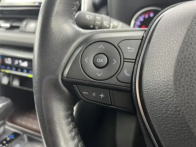 トヨタ ＲＡＶ４ G 愛知県 2019(平31)年 2.4万km センシュアルレッドマイカ ナビ /バックカメラ /追従クルコン /デジタルミラー　/シートヒーター　/パワーシート　/ステアヒーター　/パワーバックドア　/BSM　/ETC２．０　/電子パーキング　/USB　/前後ソナー　/ルーフレール　/取説　/保証書