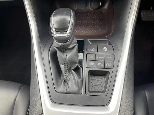 トヨタ ＲＡＶ４ G 愛知県 2019(平31)年 2.4万km センシュアルレッドマイカ ナビ /バックカメラ /追従クルコン /デジタルミラー　/シートヒーター　/パワーシート　/ステアヒーター　/パワーバックドア　/BSM　/ETC２．０　/電子パーキング　/USB　/前後ソナー　/ルーフレール　/取説　/保証書