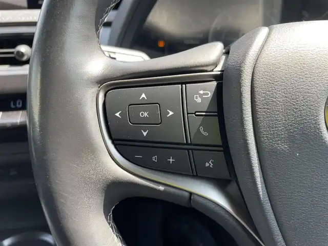 レクサス ＵＸ 200 バージョンC 石川県 2018(平30)年 4.9万km ソニッククォーツ 純正メモリーナビ/フルセグTV/バックカメラ/LEDヘッドライト/ETC/レーダークルーズ/レクサスセーフティ/純正アルミホイール/合皮シート/シートヒーター/スマートキー/プッシュスタート/オートライト