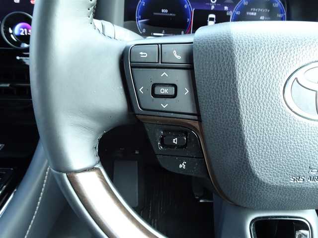 トヨタ アルファード Z 千葉県 2024(令6)年 1万km プラチナホワイトパールマイカ ワンオーナー/純正14型ディスプレイオーディオナビ/パノラミックビューモニター/ビルトインETC2.0/13.2型有機EL後席ディスプレイ/黒革シート/左右独立ムーンルーフ（メーカーOP）/スペアタイヤ（メーカーOP）/デジタルインナーミラー （メーカーOP）/トヨタセーフティセンス/ブラインドスポットモニター/両側パワースライドドア /パワーバックドア /LEDヘッドライト/プッシュスタート/スマートキー2本/前席パワーシート/フロアマット/ドアバイザー/保証書/ユーザーガイド