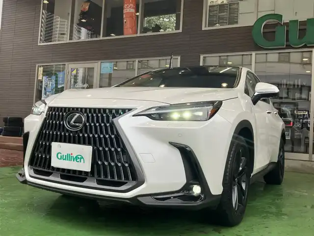 レクサス ＮＸ 250 バージョンL 神奈川県 2023(令5)年 1万km ソニッククォーツ ワンオーナー/パノラマルーフ/ルーフレール/純正ナビ・フルセグ・Miracast・Bluetoorh・USB/ビルトインETC2.0/全方位カメラ/革巻きステアリング/ステアリングヒーター/パドルシフト/タン革シート/前席パワーシート/前席シートヒーター/前席ベンチレーション/レーダークルーズコントロール/HUD/クリアランスソナー/LDA/BSM/RCTA/RSA/PKSB/3眼LEDヘッドライト/フォグランプ/パワーバックドア/純正20インチアルミ/純正フロアマット/新車時保証書/取扱説明書/スマートキー×2/カードキー×1