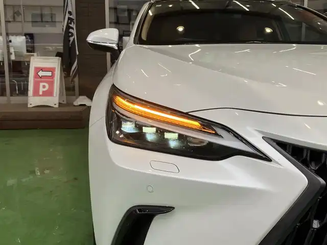 レクサス ＮＸ 250 バージョンL 神奈川県 2023(令5)年 1万km ソニッククォーツ ワンオーナー/パノラマルーフ/ルーフレール/純正ナビ・フルセグ・Miracast・Bluetoorh・USB/ビルトインETC2.0/全方位カメラ/革巻きステアリング/ステアリングヒーター/パドルシフト/タン革シート/前席パワーシート/前席シートヒーター/前席ベンチレーション/レーダークルーズコントロール/HUD/クリアランスソナー/LDA/BSM/RCTA/RSA/PKSB/3眼LEDヘッドライト/フォグランプ/パワーバックドア/純正20インチアルミ/純正フロアマット/新車時保証書/取扱説明書/スマートキー×2/カードキー×1