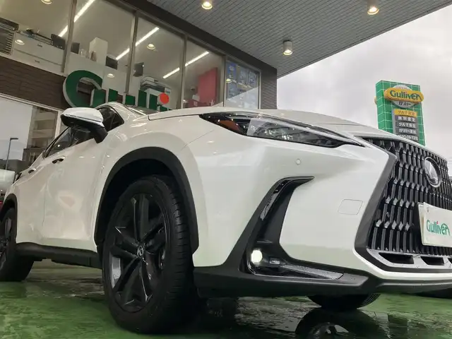 レクサス ＮＸ 250 バージョンL 神奈川県 2023(令5)年 1万km ソニッククォーツ ワンオーナー/パノラマルーフ/ルーフレール/純正ナビ・フルセグ・Miracast・Bluetoorh・USB/ビルトインETC2.0/全方位カメラ/革巻きステアリング/ステアリングヒーター/パドルシフト/タン革シート/前席パワーシート/前席シートヒーター/前席ベンチレーション/レーダークルーズコントロール/HUD/クリアランスソナー/LDA/BSM/RCTA/RSA/PKSB/3眼LEDヘッドライト/フォグランプ/パワーバックドア/純正20インチアルミ/純正フロアマット/新車時保証書/取扱説明書/スマートキー×2/カードキー×1