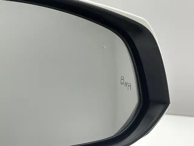 トヨタ アルファード S 愛知県 2020(令2)年 6.4万km パール メーカーナビ　全方位カメラ　リアエンターテイメント　ＪＢＬサウンド　ＤＶＤデッキ　パーキングアシスト　デジタルインナーミラー　ＢＳＭ　ＨＤＭＩ　セーフティセンス　衝突軽減　追従クルコン　ＬＥＤライト　フルセグTV　Bluetooth　前後ドラレコ　両側パワスラ　電動パーキング　フォグ　禁煙車