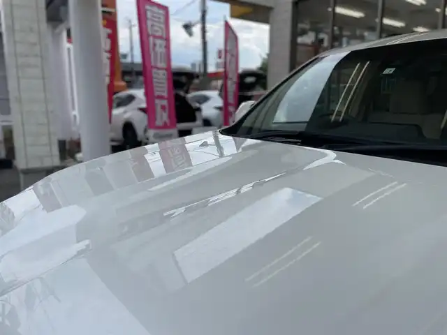 トヨタ ランドクルーザー プラド TX 愛知県 2022(令4)年 2.5万km ホワイトパールクリスタルシャイン /当店買取/禁煙/7人乗り/サンルーフ//純正SDナビNSZT-Y68T//フルセグTV/CD/SD/DVD/USB/Bluetooth//バックカメラ//LEDヘッド/AHB/Aライト//PCS/LDA/RSA/Pソナー//レーダークルーズコントロール//革巻きステアリング///ETC//保証書/取説/ナビ取説//スペアキー