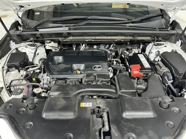 レクサス ＮＸ 250 バージョンL 佐賀県 2023(令5)年 4.2万km ソニッククォーツ 純正14インチディスプレイオーディオ/フルセグTV/Bluetooth/ミラーキャスト/ナビ機能付き/全方位バックカメラ/パノラマサンルーフ/デジタルインナールームミラー/ヘッドアップディスプレイ/衝突被害軽減装置/ブラインドスポットモニター/レーダークルーズコントロール/レーンアシスト/ロードサインアシスト/パーキングサポートブレーキ/オートライト/オートマチックハイビーム/3眼LEDヘッドライト/LEDフォグライト/純正前後ドライブレコーダー/電子パーキング/ブレーキホールド/クリアランスソナー/パワーバックドア/運転席・助手席シートヒーター/運転席・助手席エアシート/運転席・助手席パワーシート/レザーシート/メモリーシート/純正フロアマット/純正20インチアルミホイール/ルーフレール/ISOFIX対応シート