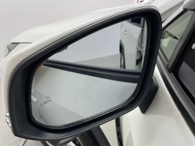 トヨタ ＲＡＶ４ ハイブリットG 群馬県 2020(令2)年 5万km ホワイトパールクリスタルシャイン 純正９型ナビ　フルセグＴＶ　バックカメラ　電動リアゲート　パワーシート　シートヒーター　ステアリングヒーター　衝突被害軽減ブレーキ　ルーフレール　ＬＥＤヘッドライト　前方ドラレコ　ＥＴＣ２．０　禁煙