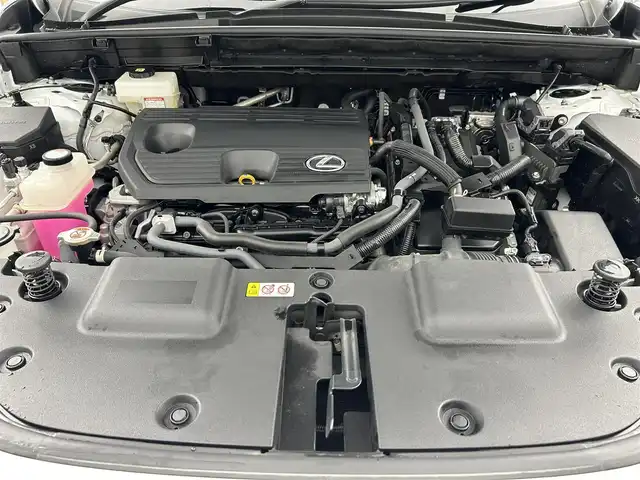 レクサス ＮＸ 350h Fスポーツ 千葉県 2023(令5)年 5.2万km ホワイトノーヴァガラスフレーク 禁煙車/ワンオーナー/レクサスセーフティセンス/・レーンディパーチャーアラート/・クリアランスソナー/・ブラインドスポットモニター/・パーキンサポートブレーキ/・ヘッドアップディスプレイ/・レーダークルーズコントロール/サンルーフ/パワーバックドア/オレンジブレーキキャリパー/純正14型ディスプレイオーディオナビ付き/・Bluetooth/USB/・全方位カメラ/・ビルトインETC2.0/・パドルシフト/革巻きステアリング/・ステアリングスイッチ/・ステアリングヒーター/赤革レザーシート/・DNシートヒーター/・DNエアーシート/・DNパワーシート/・D席メモリ付き/置くだけ充電/純正フロアマット/純正20インチAW/オートライト/・オートマチックハイビーム/・LEDヘッドライト/・LEDフォグランプ