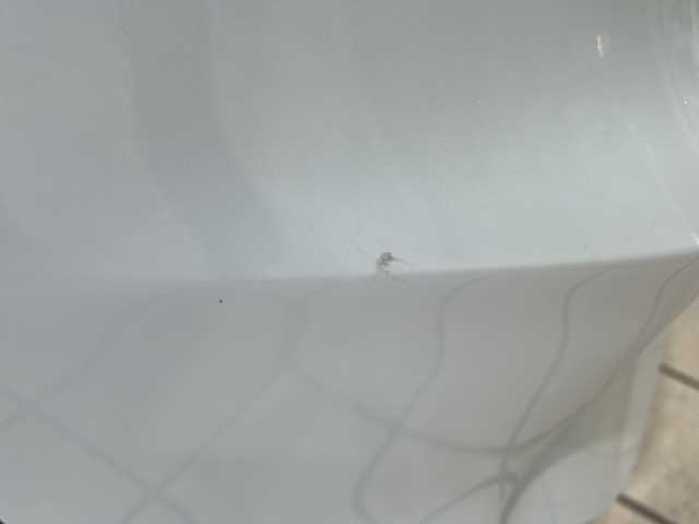 日産 セレナ ハイウェイスター 静岡県 2016(平28)年 9.2万km ブリリアントホワイトパール 2トーン 社外メモリナビ/・CD/・DVD/・フルセグＴＶ/・Bluetooth/・AM/・FM/主要装備/・両側パワスラ/・後席モニター/・衝突軽減/・クルコン/・ETC/・社外フロアマット/・純正アルミホイール/・LEDヘッドライト/・オートライト/・フォグランプ/・スマートキー/・プッシュスタート