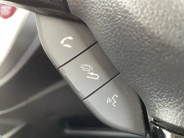 ホンダ Ｎ ＷＧＮ G スタイリッシュパッケージ 新潟県 2016(平28)年 1.2万km プレミアムホワイトパールⅡ 純正ディスプレイオーディオ/(AM/FM/CD/BT)/バックカメラ/クルーズコントロール/ハーフレザーシート/シートヒーター/革巻きステアリング/ステアリングスイッチ/AUTOライト/HIDヘッドライト/電格ミラー/横滑り防止/プッシュスタート/スマートキー
