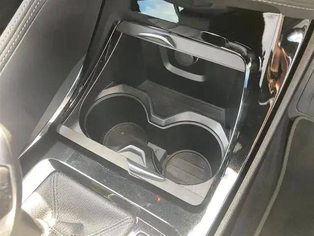 ＢＭＷ Ｘ２ xDrive 18d MスポーツX 熊本県 2019(平31)年 3.3万km ガルバニックゴールドメタリック ・スマートキー/・プッシュスタート/・インテリジェントセーフティ/・PDC自動起動/・パーキングアシスト/・クルーズコントロール(追従式)/・黒革シート/・前席シートヒーター /・前席パワーシート/・純正HDDナビ/　【Bluetooth・USB・AppleCarPlay】/・バックカメラ/・ETC/・パワーバックドア/・LEDヘッドランプ/・LEDフォグランプ/・純正マット