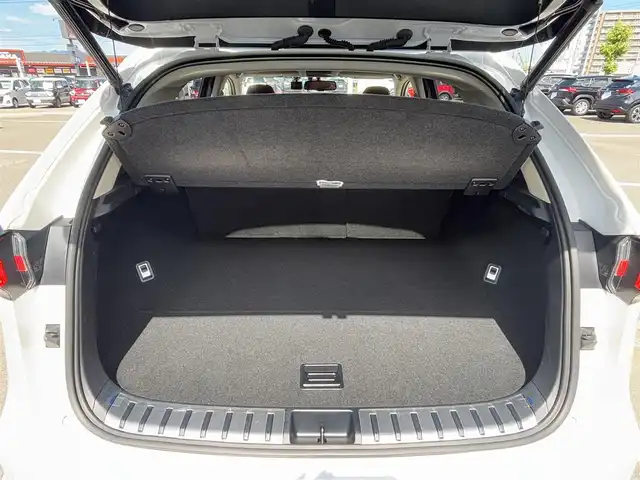 レクサス ＮＸ 300h Iパッケージ 徳島県 2017(平29)年 3万km ソニッククォーツ 純正ナビ/（ラジオ/DISC/USB/SD/フルセグ/BT/VTR/AUX）/バックカメラ/D/N席パワーシート/シートメモリ/ビルトインETC2.0/ステアリングヒーター/D/N席シートヒーター/パドルシフト/オートブレーキホールド/前後ドライブレコーダー/追従式クルーズコントロール/ブラインドスポットモニター/LEDヘッドライト/純正18インチアルミホイール/パワーバックドア