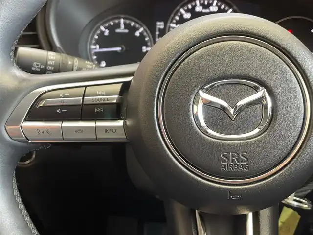 マツダ ＣＸ－３０ XD Lパッケージ 岩手県 2019(令1)年 4.7万km ソウルレッドクリスタルM ４WD/ディーゼルターボ/360°ビューモニター/本革シート/オフロードトラクションアシスト/i-ACTIVSENSE/マツダレーダークルーズコントロール/クルージング＆トラフィックサポート/スマートブレーキサポート/パーキングセンサー/ブラインドスポットモニタリングシステム/アダプティブLEDヘッドライト/横滑り防止装置/アイドリングストップ/パドルシフト/運転席パワーシート/前席シートヒーター/ステアリングヒーター/ヘッドアップディスプレイ/純正ナビ/（CD/DVD/フルセグ/USB/HDMI/Bluetooth/AppleCarPlay/AndroidAuto）/リヤフォグランプ/純正18インチアルミホイール