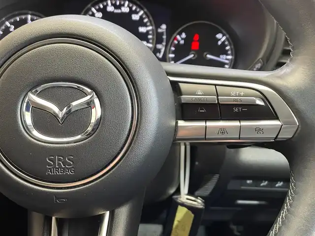 マツダ ＣＸ－３０ XD Lパッケージ 岩手県 2019(令1)年 4.7万km ソウルレッドクリスタルM ４WD/ディーゼルターボ/360°ビューモニター/本革シート/オフロードトラクションアシスト/i-ACTIVSENSE/マツダレーダークルーズコントロール/クルージング＆トラフィックサポート/スマートブレーキサポート/パーキングセンサー/ブラインドスポットモニタリングシステム/アダプティブLEDヘッドライト/横滑り防止装置/アイドリングストップ/パドルシフト/運転席パワーシート/前席シートヒーター/ステアリングヒーター/ヘッドアップディスプレイ/純正ナビ/（CD/DVD/フルセグ/USB/HDMI/Bluetooth/AppleCarPlay/AndroidAuto）/リヤフォグランプ/純正18インチアルミホイール