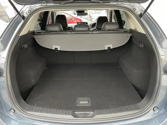 マツダ ＣＸ－５ XD ブラックトーンエディション 東京都 2023(令5)年 1.3万km ポリメタルグレーM 純正10.25型ナビ/フルセグ　USB　AM　FM　Bluetooth/全方位カメラ/レーダークルーズコントロール/アドバンスシティブレーキサポート/後退時スマートシティブレーキサポート/前後クリアランスソナー/ブラインドスポットモニター/レーンキープアシスト/誤発進抑制機能/ドライバーアテンションアラート/ヘッドアップディスプレイ/ハーフレザーシート/前席シートヒーター/D席パワーシート/D席メモリーシート/アイドリングストップ/革巻きステアリング/社外前後ドラレコ/ETC/スマートキー/プッシュスタート/アダプティブLEDヘッドライト/オートライト/オートハイビーム/フォグライト/純正19インチアルミホイル