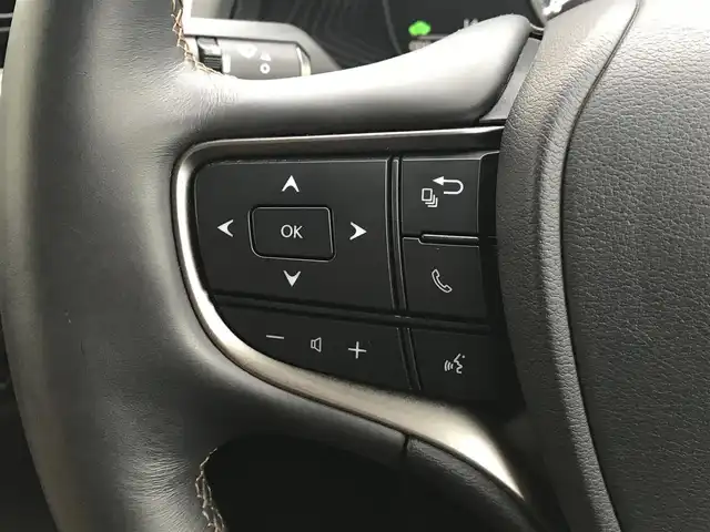 レクサス ＵＸ 250h バージョンC 富山県 2019(令1)年 8.4万km テレーンカーキマイカM 純正ナビ/フルセグＴＶ／Ｂｌｕｅｔｏｏｔｈ/全方位カメラ/レーダークルーズコントロール/プリクラッシュセーフティ/レザーシート／シートヒーター/ステアリングヒーター/ＥＴＣ２．０/コーナーセンサー/スマートキー/プッシュスタート/運転席メモリーシート/運転席&助手席パワーシート/純正AW18インチ/LEDヘッドライト/W＋サイドエアバック/カーテンエアバック