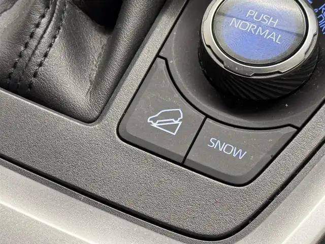 トヨタ ＲＡＶ４ G Zパッケージ 三重県 2020(令2)年 3.1万km アティチュードブラックマイカ ガソリン/4WD/MTモード付インパネCVT/純正 9インチ ディスプレイオーディオ/（AM/FM/USB/iPod/Bluetooth/HDMI（ナビ画面表示注意）/Miracast/フルセグTV/CarPlay/AndroidAuto）/【OP】パノラミックビューモニター（シースルービュー機能付）/ドライブレコーダー 前後/ビルトイン ETC/Toyota Safety Sense/・プリクラッシュセーフティ［PCS］/・レーントレーシングアシスト［LTA］/・レーダークルーズ/・オートハイビーム［AHB］/・インテリジェント クリアランスソナー（パーキングサポートブレーキ（静止物））/・【OP】リヤクロストライフィックオートブレーキ（PKSB（後方接近車両））＋ブラインドスポットモニター［BSM］/装備/・【OP】ハンズフリーパワーバックドア/・デジタルインナーミラー/・専用合皮シート（ブラック）/・パワーシート（D8way）/・左右独立オートエアコン/・アクセサリーコンセント（ラゲージ・AC100V/100W）/・オートライト/・LEDヘッドランプ/・フロントフォグランプ/・ステアリングスイッチ/・純正19inAW/・保/取/マルチ取/・スマートキーx2/など