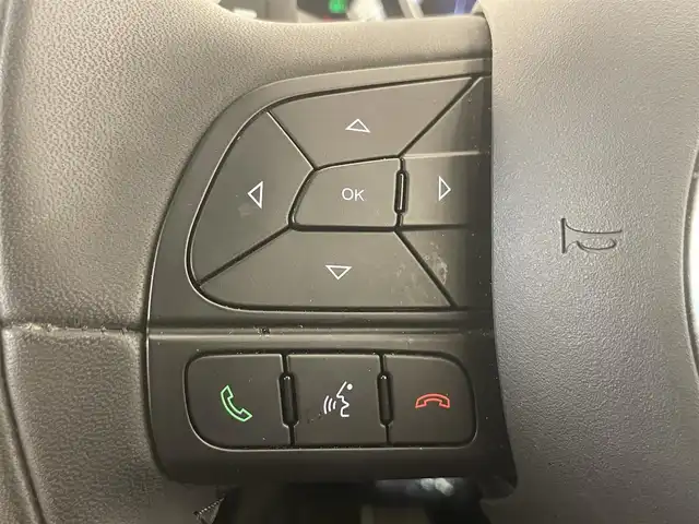 フィアット ５００Ｘ ポップスタープラス 岡山県 2017(平29)年 4.9万km BIANCO GHIACCIO ワンオーナー/社外メモリナビ【AVIC-RL05】/(DVD/ワンセグTV/Bluetooth/USB/MSV)/バックカメラ/クルーズコントロール/衝突軽減ブレーキ/ブラインドスポットモニター/HIDヘッドライト/スマートキー/ETC/レザーシート/前席パワーシート/前席シートヒーター/レーンアシスト/パドルシフト/横滑り防止機能/純正18インチアルミホイール/保証書/取扱説明書