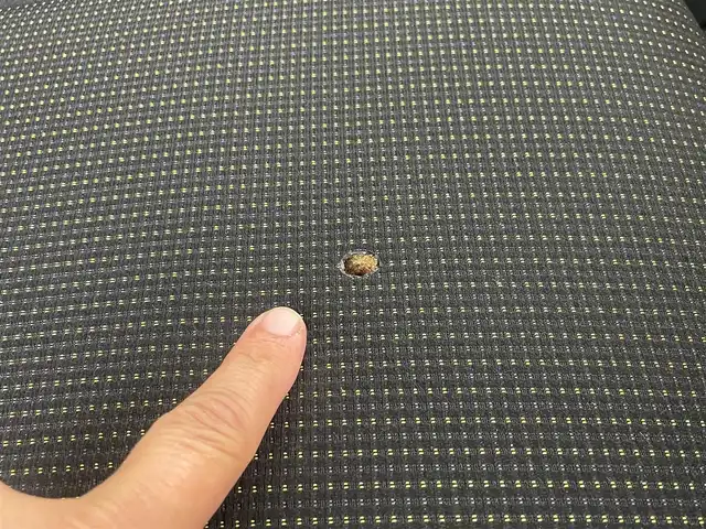 スズキ ジムニー シエラ JC 愛知県 2023(令5)年 0.9万km ジャングルグリーン /当店買取/喫煙/1オーナー/純正8インチナビcn-rz875//デュアルセンサーブレーキサポート//誤発進抑制/車線逸脱抑制機能//LEDヘッド/Aライト/AHB//バックカメラ//フルセグTV/CD/DVD/USB/Bluetooth/TVキャンセラ///前席シートヒーター//ヒーテッドミラー/電動格納ミラー//ETC/ドラレコ（SD欠品）//保証書/取説/スペアキー//ディーラー記録簿R7年