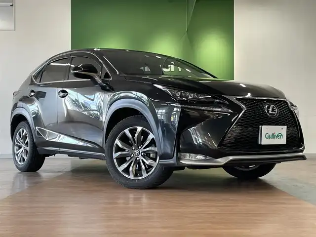 数々のアワードを受賞】 LEXUS レクサス Fスポーツ リュック レザー