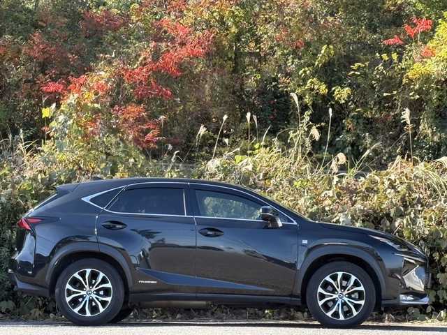 レクサス ＮＸ 300h Fスポーツ 大分県 2015(平27)年 7.4万km グラファイトブラックガラスフレーク ブラック/レッドレザーシート/サンルーフ/シートヒーター/ベンチレーション/純正メモリーナビ/パノラミックビューモニター/フルセグ /Bluetooth/アダプティブクルーズコントロール/レーンキープアシスト/パワーシート/純正LEDヘッドライト/オートライトコントロール/スマートキー/エンジンプッシュスタート/ステアリングヒーター/リアクリアランスソナー/ビルトインETC