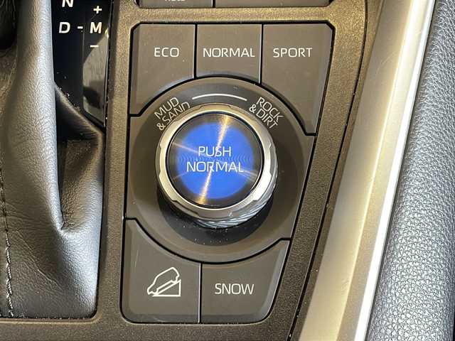 トヨタ ＲＡＶ４ アドベンチャー 福井県 2021(令3)年 2.9万km アッシュグレーメタリック/アティチュードブラックマイカ 2トーン 純正9インチナビ/フルセグTV/バックカメラ/トヨタセーフティセンス/BSM/レーダークルーズコントロール/リアクロストラフティックアラート/パーキングサポートブレーキ/ETC/ドライブレコーダー/4WD/MTモード付AT/パワーシート/レザーシート/革巻きステアリング/オートライト/オートハイビーム/LEDヘッドライト/純正19インチAW/純正フロアマット/プッシュスタート/スマートキー