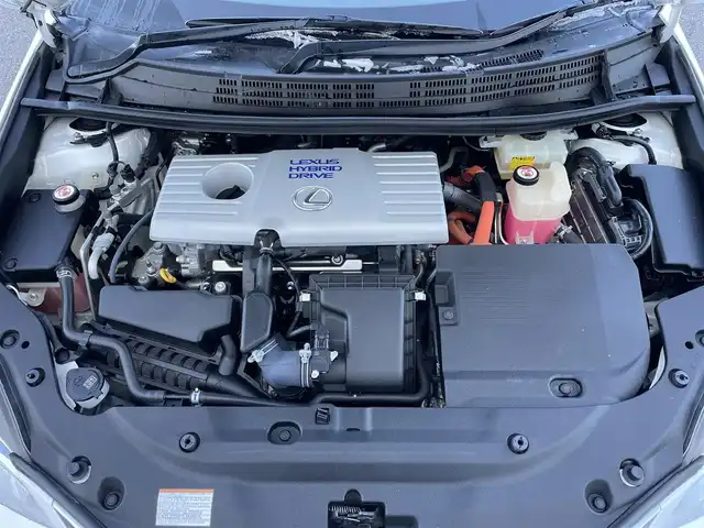 レクサス ＣＴ 200h クールツーリングスタイル 滋賀県 2017(平29)年 6.4万km ソニッククォーツ 純正SDナビ/(フルセグTV CD DVD Bluetooth ブルーレイ USB AUX)/バックカメラ/レーダークルーズコントロール/パワーシート/ハーフレザーシート/シートヒーター/革巻きステアリング/ステアリングリモコン/ビルトインETC2.0/プッシュスタート/スマートキー/電動格納ミラー/パドルシフト/純正フロアマット/LEDオートヘッドライト