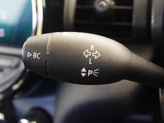 ＭＩＮＩ ミニ クーパー D 岐阜県 2020(令2)年 5.1万km ブリティッシュレーシンググリーン ペッパーパッケージ/ライトパッケージ/エキサイトメントパッケージ/カメラパーキングアシストパッケージ/ストレージコンパートメントパッケージ/レインセンサー/USB/ユニオンジャックテール/リアフォグ/アンビエントライト/前後ドラレコ/前後コーナーセンサー/バックカメラ/LED