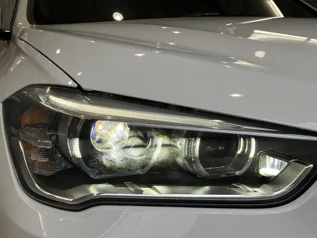 ＢＭＷ Ｘ１ xDrive 20i Mスポーツ 東京都 2018(平30)年 1.9万km アルピンホワイトⅢ ワンオーナー /ドライビングアシスト/・レーンディパーチャーニング・/・前車接近警告機能/・衝突回避・被害軽減ブレーキ/純正ナビゲーション/Bカメラ/ドライブレコーダー/ETC/スマートキー/純正ルーフレール/純正アルミホイール/パワーバックドア/スポーツモード搭載/ISOFIX/点検整備記録簿H30R123456年