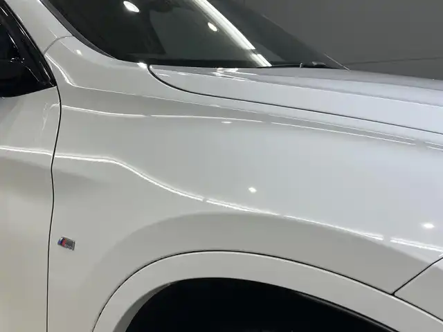 ＢＭＷ Ｘ１ xDrive 20i Mスポーツ 東京都 2018(平30)年 1.9万km アルピンホワイトⅢ ワンオーナー /ドライビングアシスト/・レーンディパーチャーニング・/・前車接近警告機能/・衝突回避・被害軽減ブレーキ/純正ナビゲーション/Bカメラ/ドライブレコーダー/ETC/スマートキー/純正ルーフレール/純正アルミホイール/パワーバックドア/スポーツモード搭載/ISOFIX/点検整備記録簿H30R123456年