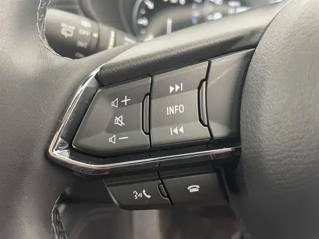 マツダ ＣＸ－８ XD スポーツアピアランス 富山県 2023(令5)年 3.7万km マシーングレープレミアムM サンルーフ/BOSEサウンド/純正10.25型ディスプレイオーディオ（AM/FM/BT/USB）/フルセグTV/全方位カメラ/ドライブレコーダー/ETC/レザーシート/D/N席パワーシート/D席メモリシート/全席シートヒーター/D/N席シートベンチレーション/ハンドルヒーター/ヘッドアップディスプレイ/ブラインドスポットモニター/衝突被害軽減システム/レーダークルーズコントロール/レーンキープアシスト/コーナーセンサー/横滑り防止装置/アイドリングストップ/純正アルミホイール/社外フロアマット/オートLEDライト/オートホールド付電子パーキング/革巻きステアリング/ステアリングスイッチ/スマートキー