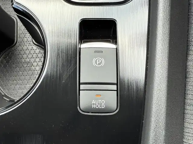 日産 エクストレイル X 愛知県 2023(令5)年 1.9万km 茶Ⅱ /純正メモリナビ//AM/FM/HDMI/フルセグ/BT/SD//プロパイロット//ビルトインETC2.0//バックカメラ//前後純正ドライブレコーダー//インテリジェントエマージェンシーブレーキ//後側方車両検知警報//後側方衝突防止支援//ハンドル支援//車線逸脱警報//車線逸脱坊地支援//踏み間違い衝突防止支援//標識検知機能//クリアランスソナー//後退時車両検知警報//インテリジェントクルーズコントロール//D・N席パワーシート//D・N席シートヒーター//オートLEDヘッドライト//オートハイビーム//フォグランプ//ヘッドライトレベライザー//ルーフレール//e-Pedal//EV MODE//D MODE//ステアリングスイッチ//オートリトラクタブルウィンカーミラー//純正フロアマット//純正ドアバイザー//プッシュスタート//スペアキー//取扱説明書//保証書