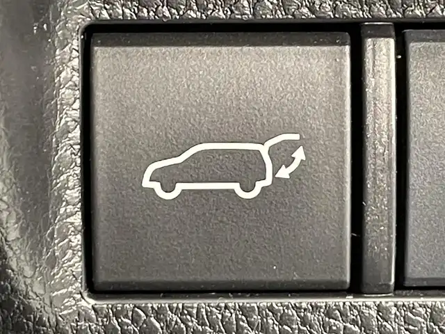 トヨタ ＲＡＶ４ アドベンチャー 愛知県 2019(令1)年 3.4万km アーバンカーキ 純正９インチナビ　/（Bluetooth/フルセグTV/SD/FM/AM/CD・DVD再生)/電動バックドア　/シートベンチレーション　/トヨタセーフティセンス　/　　-レーダークルーズコントロール　/　　-プリクラッシュセーフティ/　　-レーントレーニングアシスト（LTA)/　　-オートマチックハイビーム（AHB)/　　-ロードサインアシスト/ブラインドスポットモニター/クリアランスソナー/ビルトインＥＴＣ　/シートヒーター　/ステアリングヒーター/バックカメラ　/D席パワーシート　/ルーフレール　/LEDヘッドライト/フォグランプ/USB接続/プッシュスタート/　　-スマートキー/純正フロアマット/スペアタイヤ有