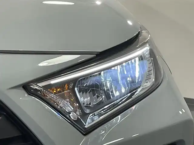 トヨタ ＲＡＶ４ アドベンチャー 愛知県 2019(令1)年 3.4万km アーバンカーキ 純正９インチナビ　/（Bluetooth/フルセグTV/SD/FM/AM/CD・DVD再生)/電動バックドア　/シートベンチレーション　/トヨタセーフティセンス　/　　-レーダークルーズコントロール　/　　-プリクラッシュセーフティ/　　-レーントレーニングアシスト（LTA)/　　-オートマチックハイビーム（AHB)/　　-ロードサインアシスト/ブラインドスポットモニター/クリアランスソナー/ビルトインＥＴＣ　/シートヒーター　/ステアリングヒーター/バックカメラ　/D席パワーシート　/ルーフレール　/LEDヘッドライト/フォグランプ/USB接続/プッシュスタート/　　-スマートキー/純正フロアマット/スペアタイヤ有