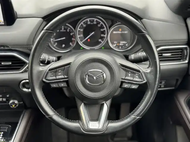 マツダ ＣＸ－８ 25S プロアクティブ 三重県 2019(平31)年 5.3万km スノーフレイクホワイトパールマイカ 純正マツダコネクトナビ/・地デジTV/CD/DVD/SD/USB/Bluetooth/・Apple Carplay/Android Auto/360度ビューモニター/Boseサウンドシステム(10スピーカー)/アドバンスドスマートシティブレーキサポート/スマートブレーキサポート/レーンキープアシスト/レーダークルーズコントロール/アクティブドライビングディスプレイ/ステアリングスイッチ/ステアリングヒーター/ドライブセレクション(スポーツモード)/ブラッククロスシート/運転席パワーシート/運転席シートメモリー/シートヒーター（運転席/助手席）/2列目カップホルダー付きベンチシート/サンシェード(リアドア)/アダプティブLEDヘッドランプ/シグネチャーLEDランプ/オートライト/純正19インチアルミホイール/ETC/アドバンストキーレスエントリーシステム/アドバンストキー2本/取説/保証書
