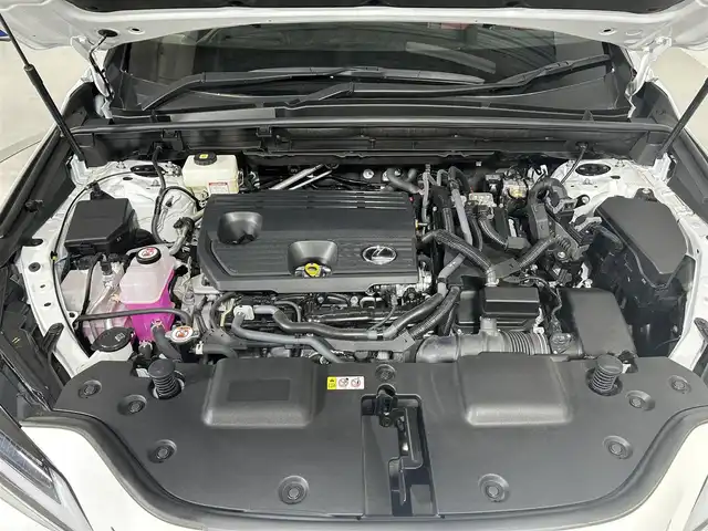 レクサス ＮＸ 350h Fスポーツ 佐賀県 2023(令5)年 0.5万km ホワイトノーヴァガラスフレーク パノラマルーフ/専用オレンジキャリパー/レクサスセーフティシステム＋/純正14インチナビ/フルセグTV/Bluetooth/USB/パノラミックビューモニター/ETC2.0/レーダークルーズコントロール/パワーバックドア /ブラインドスポットモニター/デジタルインナーミラー/前方ドライブレコーダー/純正20インチアルミホイール/LEDライト/フォグライト /オートライト/オートハイビーム/パドルシフト/ステアリングリモコン/スマートキー/スペアキー/保証書