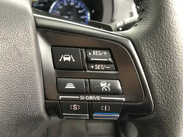 スバル レヴォーグ 1．6GT－S アイサイト 愛知県 2016(平28)年 3.9万km クリスタルブラックシリカ サンルーフ　/純正OPグリル　/純正ナビ　/バックカメラ　/サイドカメラ　/オートクルーズ　/BSM　/パドルシフト　/パワーシート/前後ドラレコ　/ETC2.0　/アルミホイール　/フロアマット　/LEDオートライト　