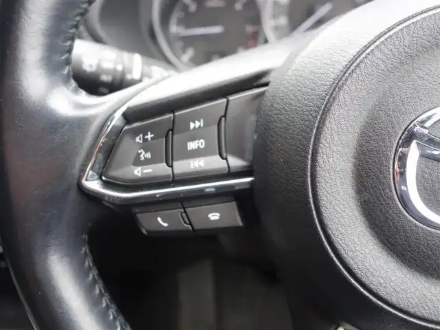 マツダ ＣＸ－８ XD プロアクティブ 静岡県 2018(平30)年 14.2万km マシーングレープレミアムM ワンオーナー／禁煙車/アイアクティブセンス/　・アドバンススマートシティブレーキサポート/　・ブラインドスポットモニター/　・レーダークルーズコントロール/　・スマートブレーキサポート/　・レーンキープアシスト/マツダコネクト/　CD/DVD/BT/USBAUX/フルセグTV/全方位カメラ/ETC/純正ドライブレコーダー/BOSEサウンドシステム（10スピーカー）/ステアリングリモコン／ハンドルヒーター/運転席メモリー機能付きパワーシート/前席シートヒーター/電動パワーバックドア/2列目キャプテンシート/ルーフレール/純正ゴムマット／ドアバイザー/取扱説明書／保証書