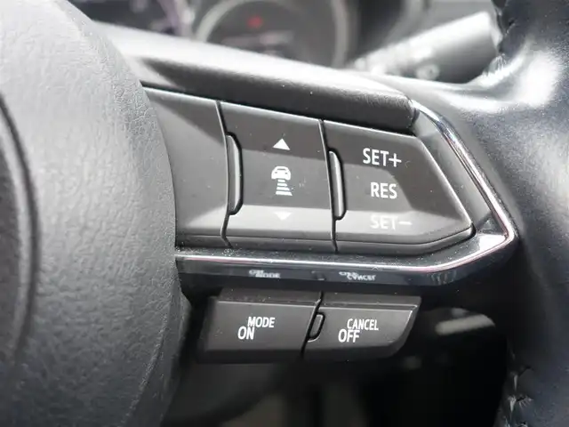 マツダ ＣＸ－８ XD プロアクティブ 静岡県 2018(平30)年 14.2万km マシーングレープレミアムM ワンオーナー／禁煙車/アイアクティブセンス/　・アドバンススマートシティブレーキサポート/　・ブラインドスポットモニター/　・レーダークルーズコントロール/　・スマートブレーキサポート/　・レーンキープアシスト/マツダコネクト/　CD/DVD/BT/USBAUX/フルセグTV/全方位カメラ/ETC/純正ドライブレコーダー/BOSEサウンドシステム（10スピーカー）/ステアリングリモコン／ハンドルヒーター/運転席メモリー機能付きパワーシート/前席シートヒーター/電動パワーバックドア/2列目キャプテンシート/ルーフレール/純正ゴムマット／ドアバイザー/取扱説明書／保証書