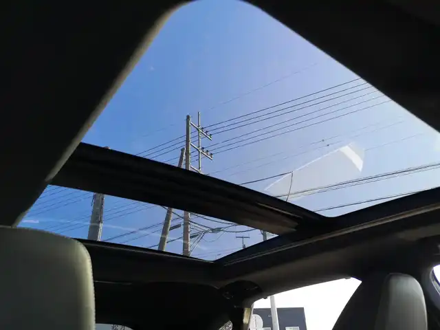 レクサス ＲＸ 300 Fスポーツ 茨城県 2018(平30)年 4.4万km ホワイトノーヴァガラスフレーク 純正ナビ/【AM・FM・DISC・SD・USB・BT・AUX・TV】/サンルーフ/ルーフレール/電動リアゲート/パワーシート/シートメモリ/シートヒーター/エアシート/ステアリングヒーター/パドルシフト/100V電源/レーダークルコン/ETC2.0/全方位カメラ/前後ドラレコ/前後コーナーセンサー/BSM/HUD