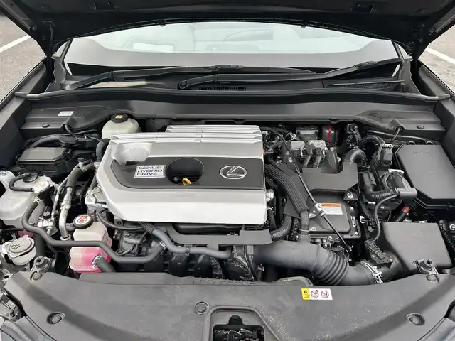 レクサス ＵＸ 250h バージョンC 栃木県 2020(令2)年 5.2万km グラファイトブラックガラスフレーク レクサスセーフティシステムプラス/三眼LEDヘッドライト/純正ナビ/フルセグTV/DVD/Bluetooth/USB/パノラミックビューモニター/ビルトインETC/ドライブレコーダー/L_texコバルトシート/前席パワーシート/前席シートヒーター/パワーバックドア/レーダークルーズコントロール/プッシュスタート/ステアリングリモコン/LEDフォグランプ/純正17インチAW/アイドリングストップ/横滑り防止装置/ハンドルヒーター/電動格納ミラー/クリアランスソナー