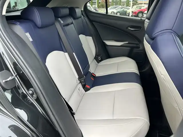 レクサス ＵＸ 250h バージョンC 栃木県 2020(令2)年 5.2万km グラファイトブラックガラスフレーク レクサスセーフティシステムプラス/三眼LEDヘッドライト/純正ナビ/フルセグTV/DVD/Bluetooth/USB/パノラミックビューモニター/ビルトインETC/ドライブレコーダー/L_texコバルトシート/前席パワーシート/前席シートヒーター/パワーバックドア/レーダークルーズコントロール/プッシュスタート/ステアリングリモコン/LEDフォグランプ/純正17インチAW/アイドリングストップ/横滑り防止装置/ハンドルヒーター/電動格納ミラー/クリアランスソナー