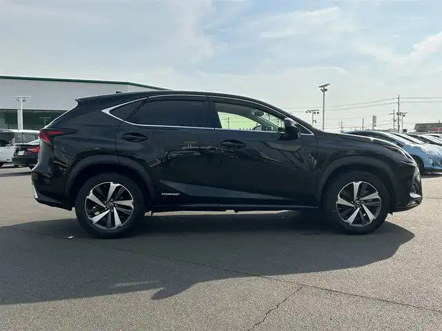 レクサス ＮＸ 300h バージョンL 岡山県 2019(平31)年 6.5万km グラファイトブラックガラスフレーク サンルーフ/純正メモリーナビ/フルセグTV/USB/Micro-SD/DVD/Blu-ray/Bluetooth/プレミアムサウンド10スピーカー/バックカメラ/プリクラッシュセーフティシステムセット/・レーダークルーズコントロール/・プリクラッシュセーフティ/・レーンキープアシスト/3眼LEDオートヘッドライト/パワーバックドア/シートヒーター/ベンチレーション/ステアリングヒーター/スマートキー×2/ドライブレコーダー/禁煙車/保証書/取説