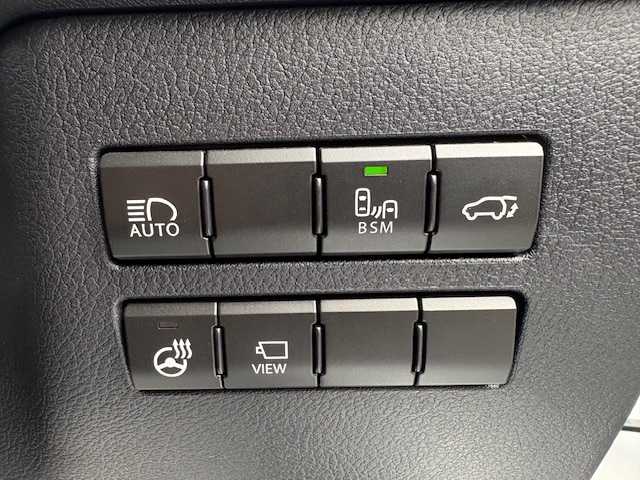 レクサス ＮＸ 300 バージョンL 大阪府 2020(令2)年 2.5万km ソニッククォーツ サンルーフ/純正10型ナビ/全方位カメラ/レクサスセーフティシステム/BSM/電動リアゲート/パワーシート/シートヒーター/シートクーラー/レザーシート/三眼LEDヘッドライト/パドルシフト/スマートキー