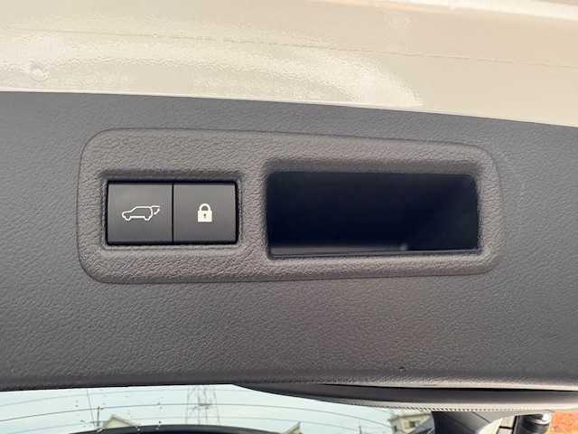 レクサス ＮＸ 300 バージョンL 大阪府 2020(令2)年 2.5万km ソニッククォーツ サンルーフ/純正10型ナビ/全方位カメラ/レクサスセーフティシステム/BSM/電動リアゲート/パワーシート/シートヒーター/シートクーラー/レザーシート/三眼LEDヘッドライト/パドルシフト/スマートキー